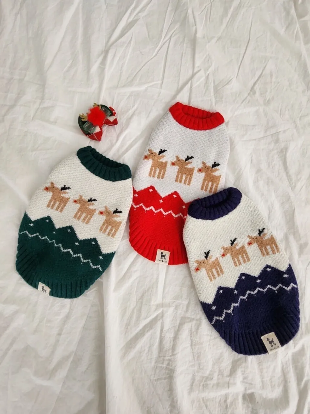 LINE_ALBUM_Doggyholic_241126_99