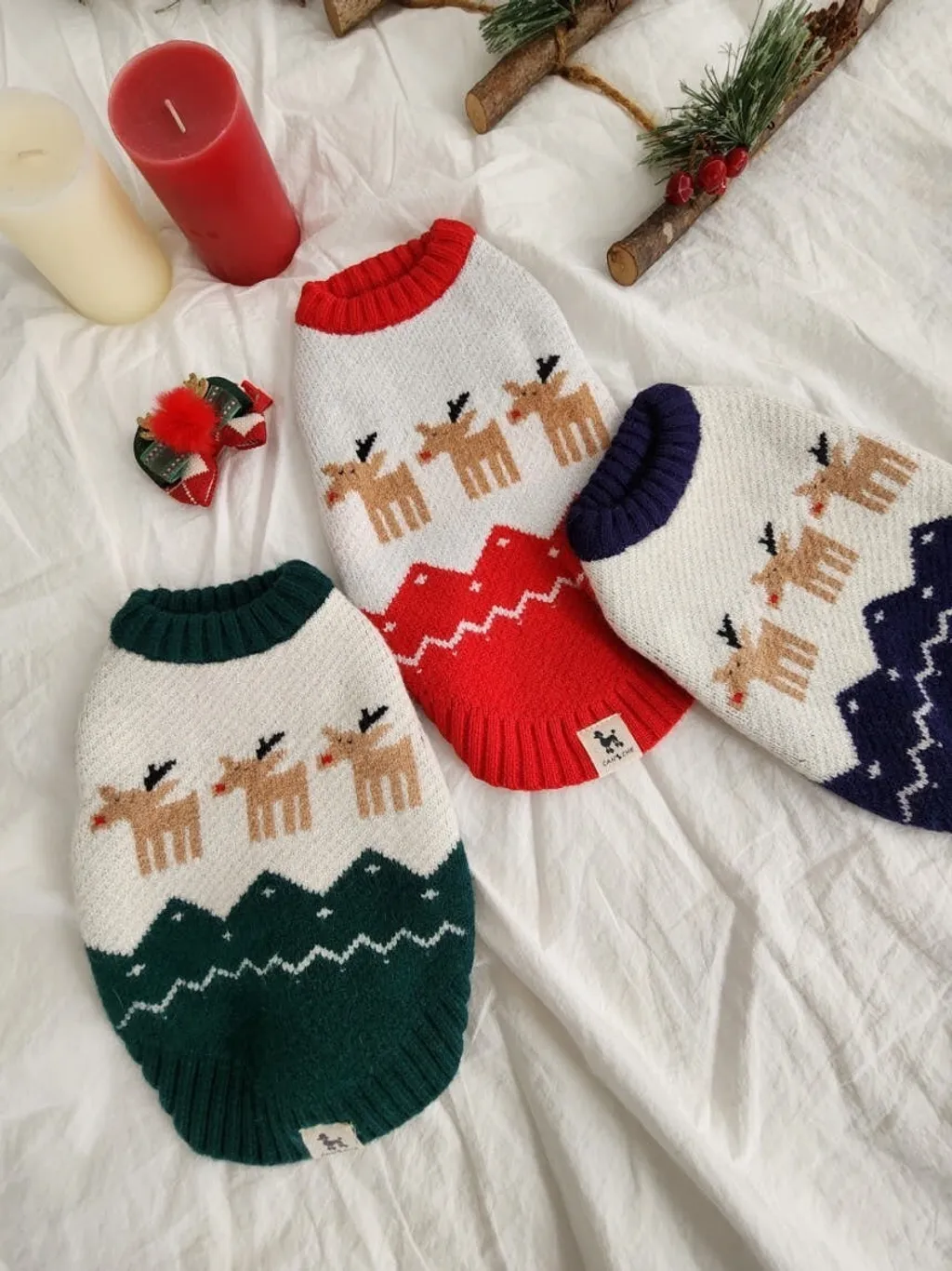 LINE_ALBUM_Doggyholic_241126_101