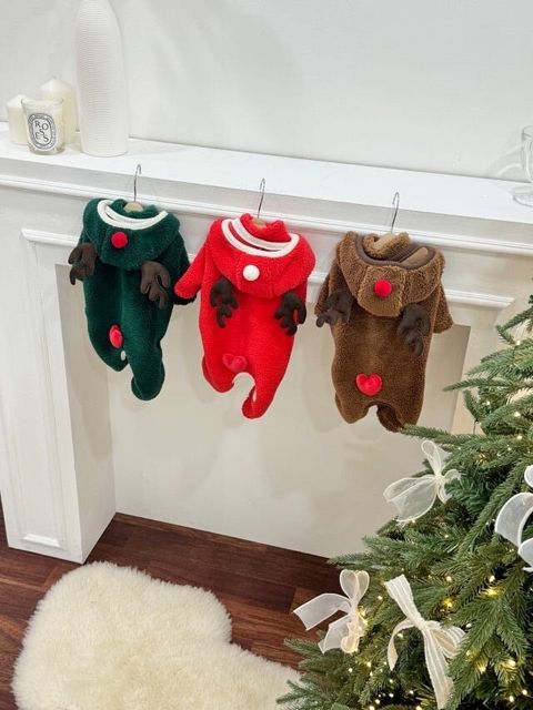 LINE_ALBUM_Doggyholic_241126_60