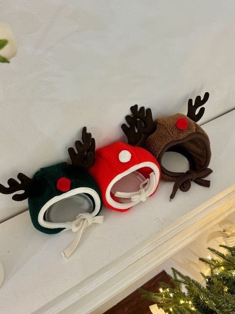 LINE_ALBUM_Doggyholic_241126_58