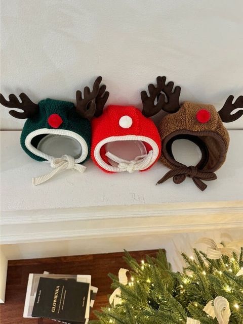 LINE_ALBUM_Doggyholic_241126_59