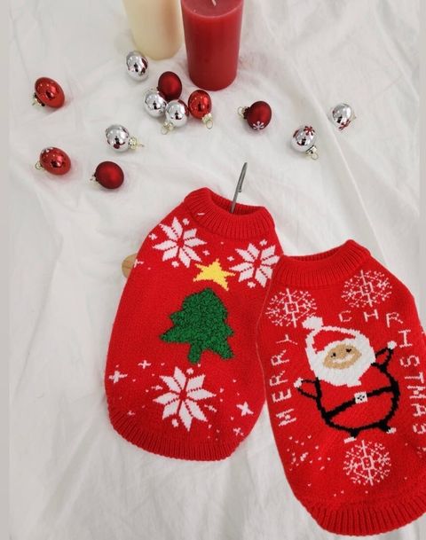 LINE_ALBUM_Doggyholic_241126_27