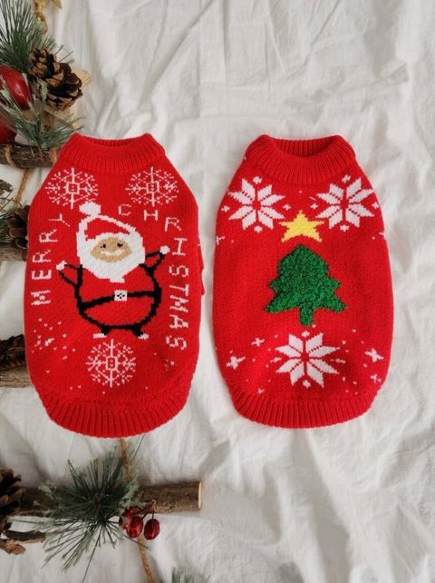 LINE_ALBUM_Doggyholic_241126_28