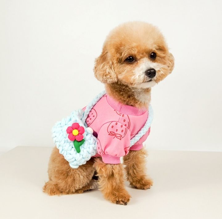 LINE_ALBUM_Grooming dog_241126_47