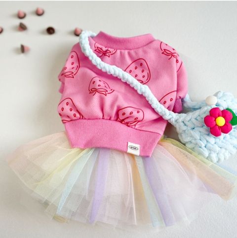 LINE_ALBUM_Grooming dog_241126_46