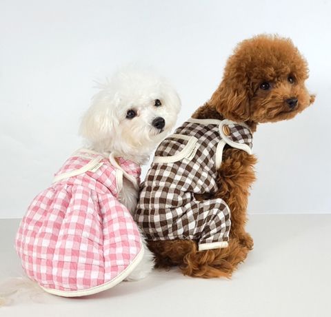 LINE_ALBUM_Grooming dog_241126_24