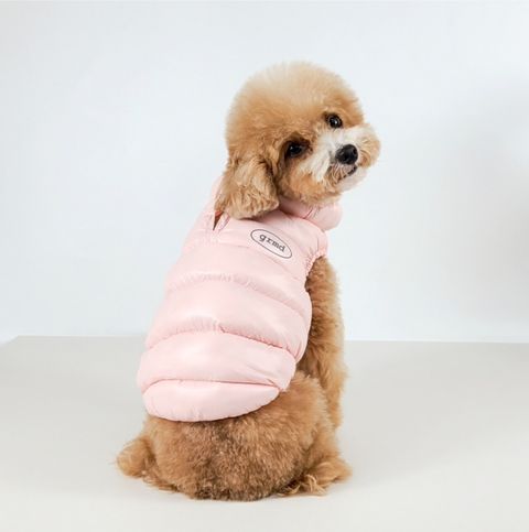 LINE_ALBUM_Grooming dog_241126_91