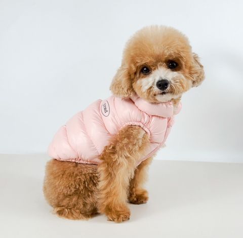 LINE_ALBUM_Grooming dog_241126_92