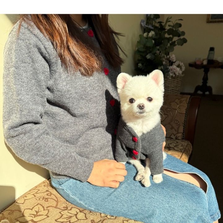 LINE_ALBUM_Appleapple_241128_3