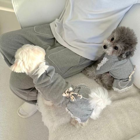 LINE_ALBUM_Grooming dog_241128_31