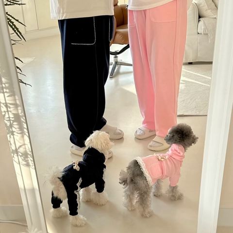 LINE_ALBUM_Grooming dog_241128_34