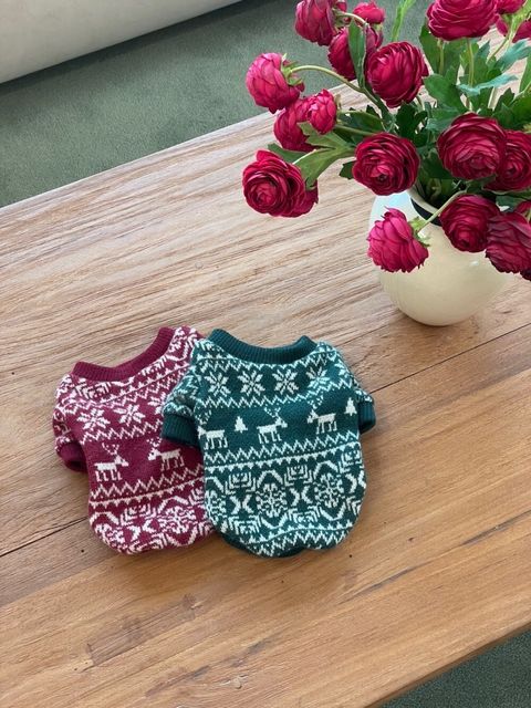 LINE_ALBUM_Dear meong_241128_5