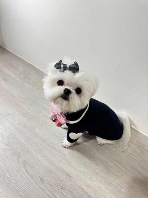 LINE_ALBUM_Hugme_241129_27