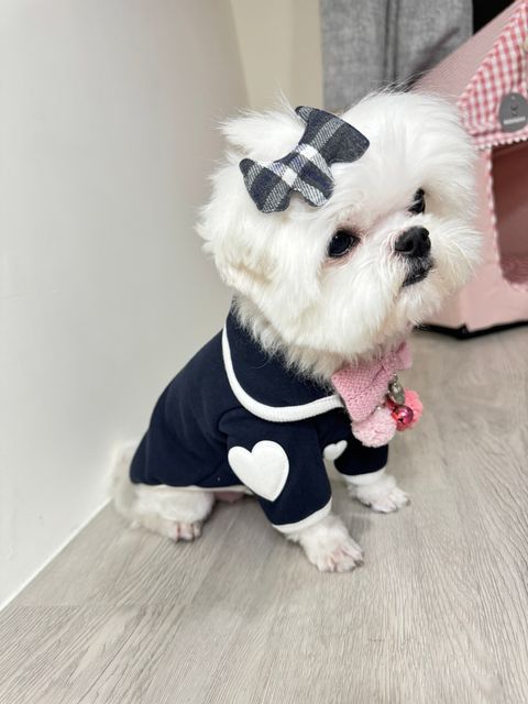 LINE_ALBUM_Hugme_241129_29