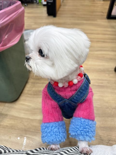 LINE_ALBUM_Hugme_241129_35