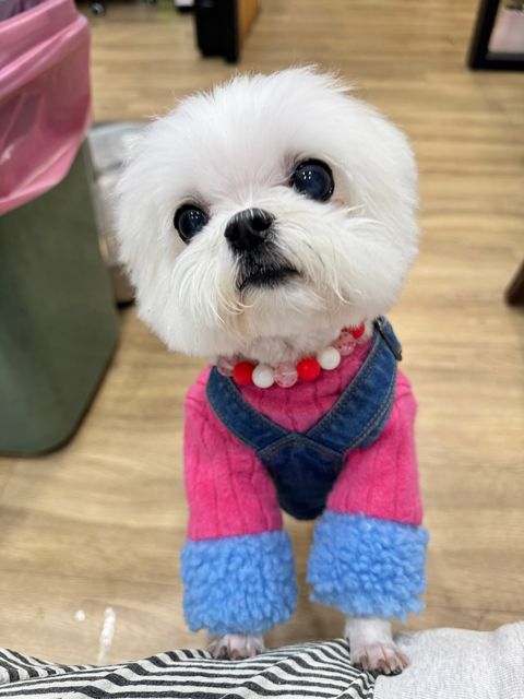 LINE_ALBUM_Hugme_241129_36