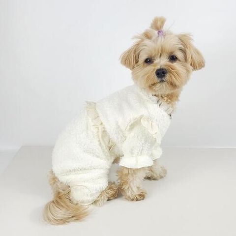 LINE_ALBUM_Grooming dog_241203_13