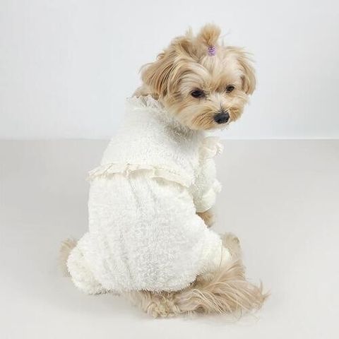 LINE_ALBUM_Grooming dog_241203_12
