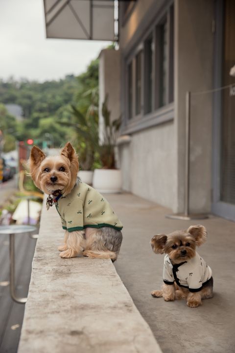 1R1A9615-1734272780991