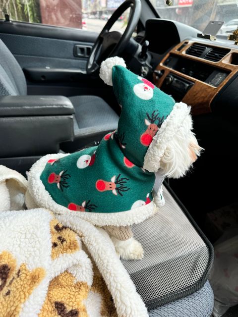 IMG_3244-1734491054502