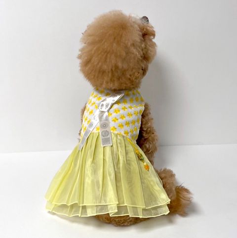 LINE_ALBUM_Honneydog_250105_54