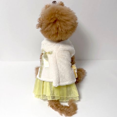 LINE_ALBUM_Honneydog_250105_62