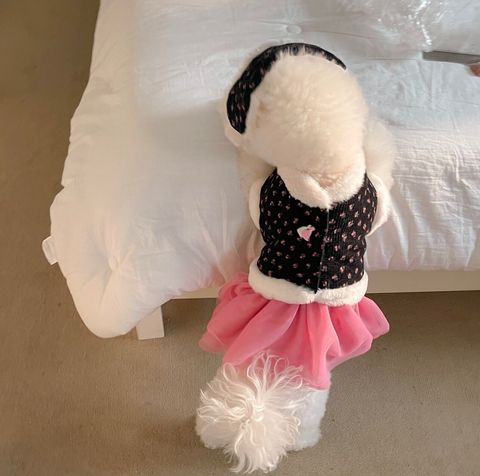 LINE_ALBUM_Petmood_250108_2