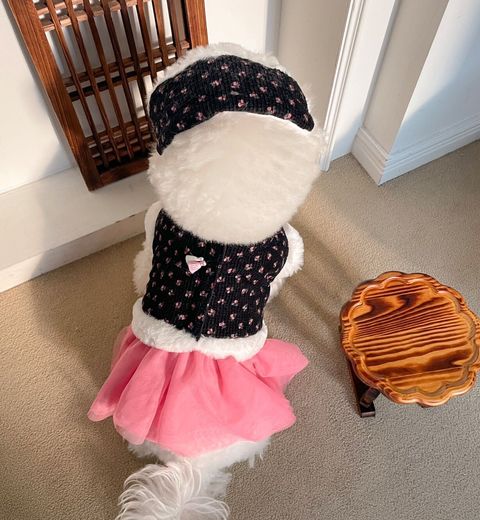 LINE_ALBUM_Petmood_250108_4