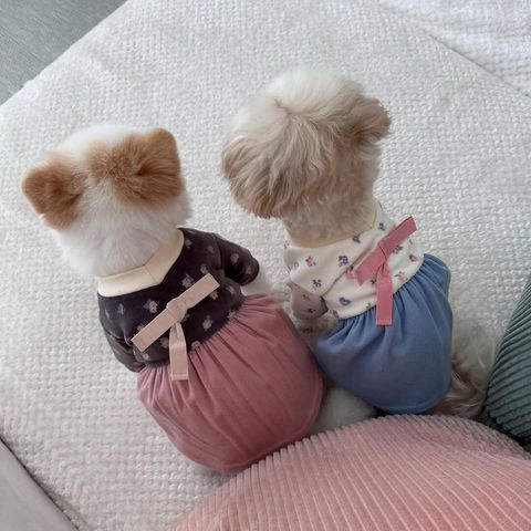 LINE_ALBUM_Lazypet_250108_2
