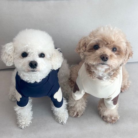 LINE_ALBUM_Himong_250108_18