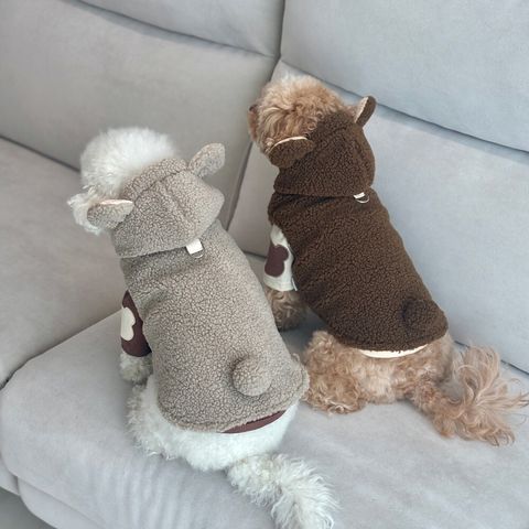 LINE_ALBUM_Himong_250108_45