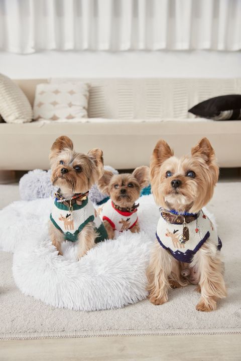 1230 羽葤5694-1736869425023