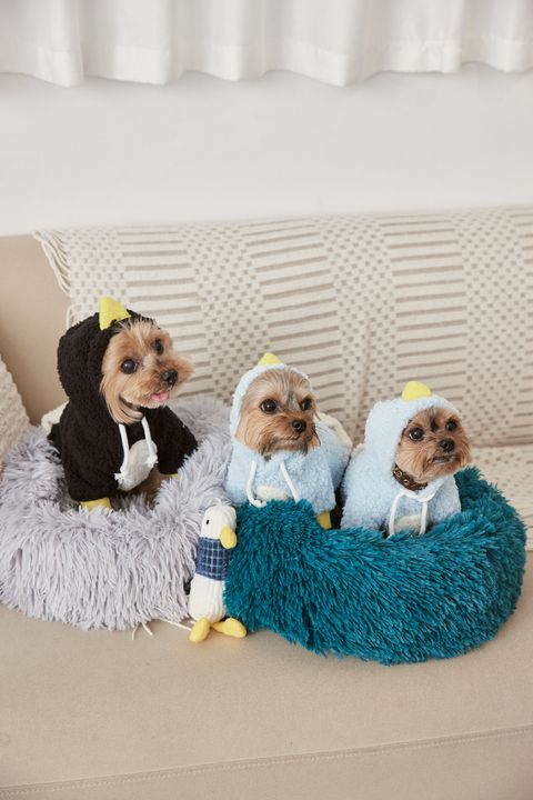 1230 羽葤5846-1738997370368