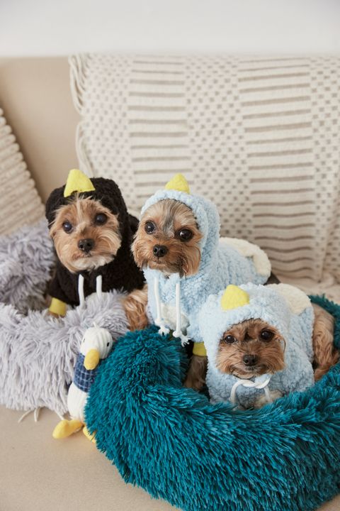 1230 羽葤5834-1738997370399