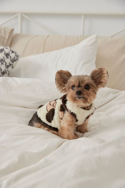 1230 羽葤6028-1739095606497