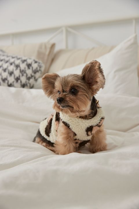 1230 羽葤6031-1739095606504