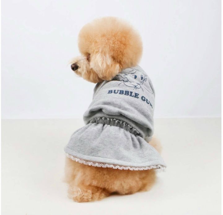 LINE_ALBUM_Grooming dog_250224_1