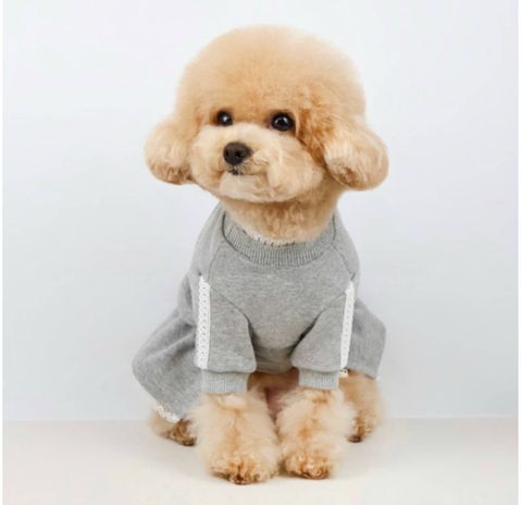 LINE_ALBUM_Grooming dog_250224_3