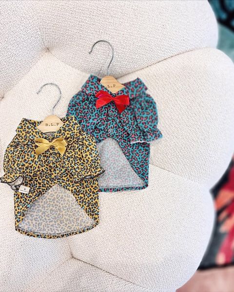 LINE_ALBUM_Doggyholic_250224_6