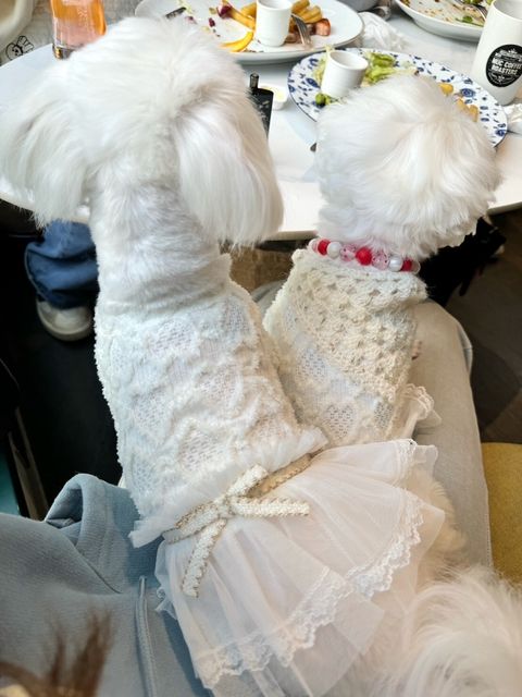 LINE_ALBUM_202534_250304_9