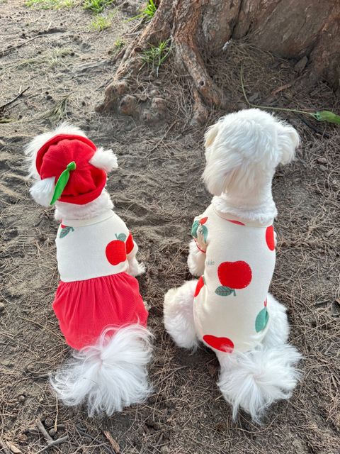 image_332C854A-4932-4E93-88EB-95500A1D78AC_1741262055