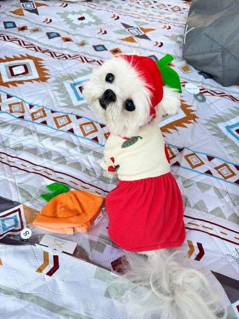 image_40E0CD82-1FA7-4005-91D4-D999B5B17D54_1741262524