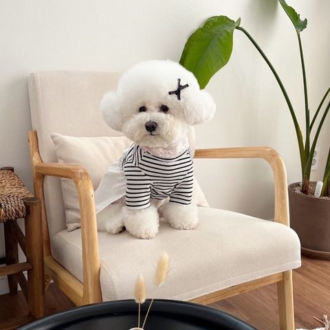 LINE_ALBUM_Little heart_250308_4