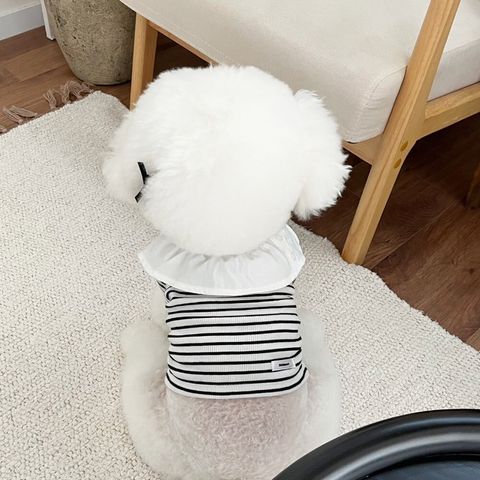 LINE_ALBUM_Little heart_250308_28