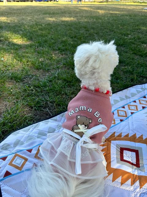 image_70EFF9EB-863A-4311-BCD9-B2E447CB38BB_1741535338