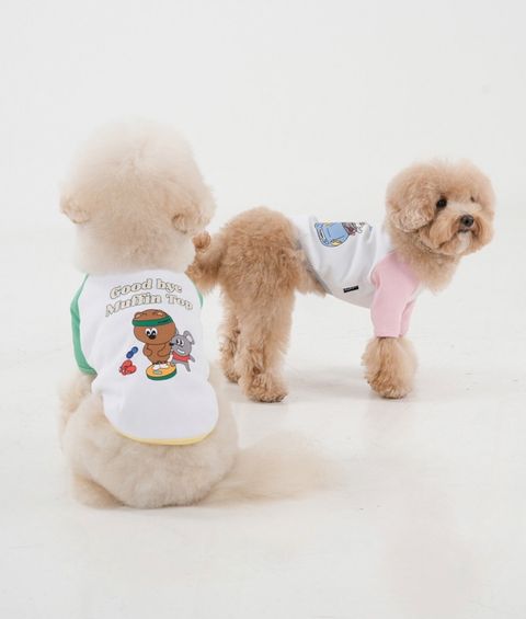 LINE_ALBUM_Plumpy_250314_138