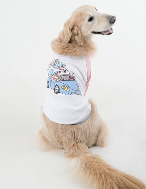 LINE_ALBUM_Plumpy_250314_130