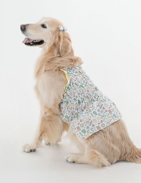 LINE_ALBUM_Plumpy_250314_102