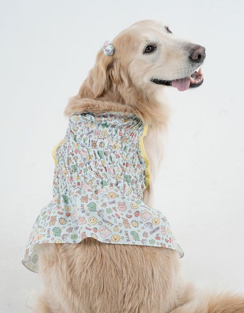 LINE_ALBUM_Plumpy_250314_104