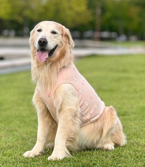 LINE_ALBUM_Plumpy_250314_67